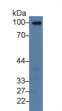 9383