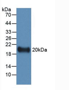 61070