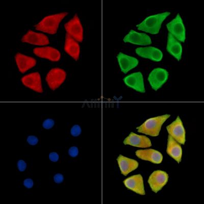 Валидация Affinity DF14456 - 10431