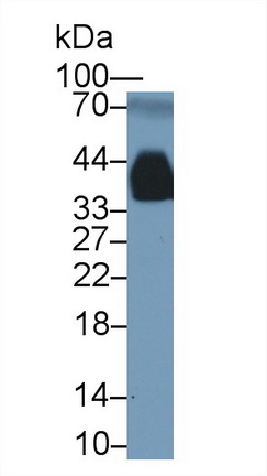 13484