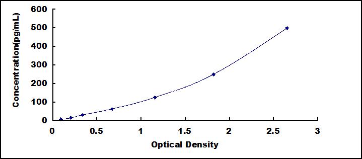 65404