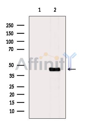 Валидация Affinity DF3913 - 15090