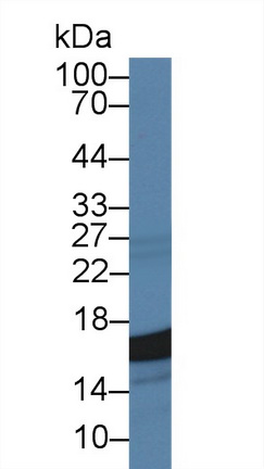 14673