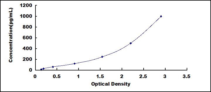 60906