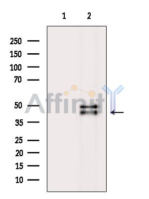 Валидация Affinity DF14836 - 10957
