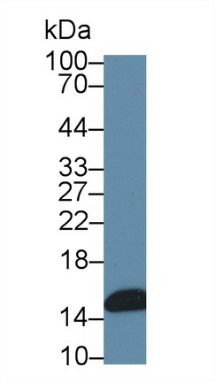 9730