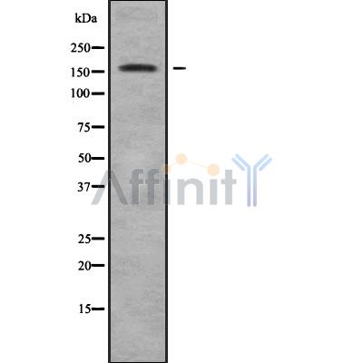 Валидация Affinity DF9171 - 21531