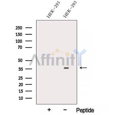 Валидация Affinity DF12835 - 7556
