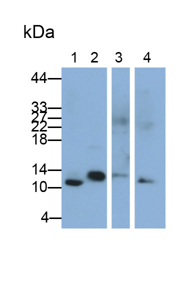 30945