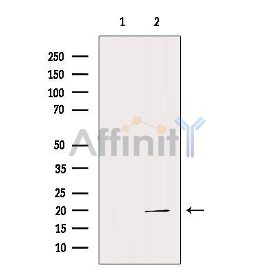 Валидация Affinity DF6869 - 18449