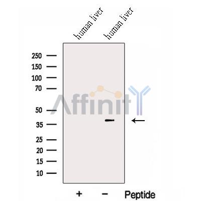 Валидация Affinity DF13060 - 7914