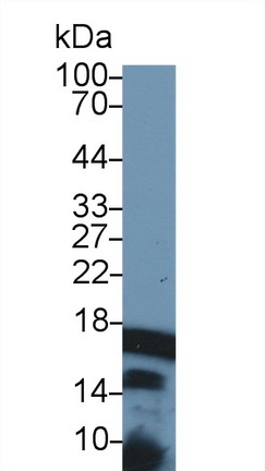 13748