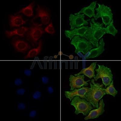 Валидация Affinity DF3655 - 14646