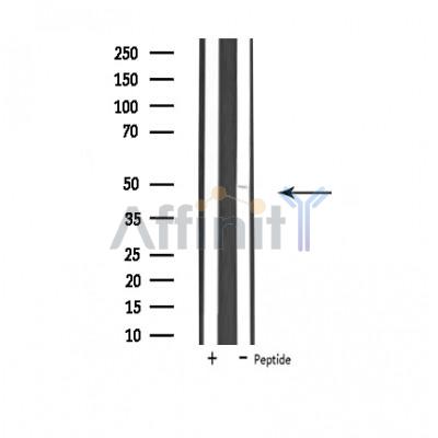 Валидация Affinity DF4596 - 16207