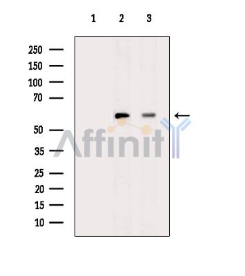 Валидация Affinity DF14642 - 10676