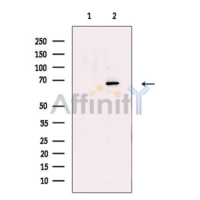 Валидация Affinity DF13475 - 8835