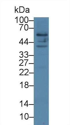 19122