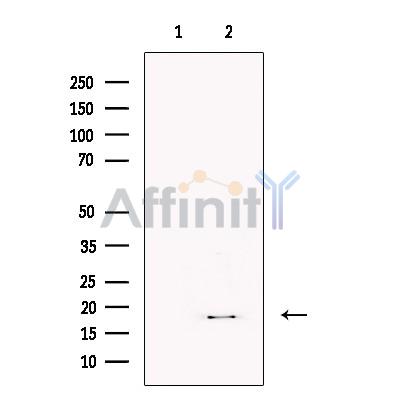 Валидация Affinity DF13216 - 8231