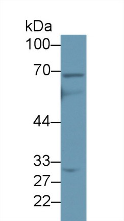 8950