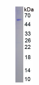 65525
