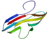 Sialic Acid Binding Ig Like Lectin 2 (SIGLEC2)