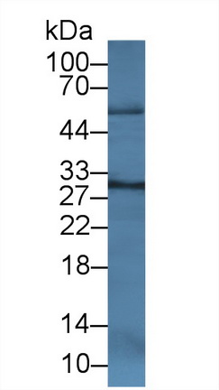 14843