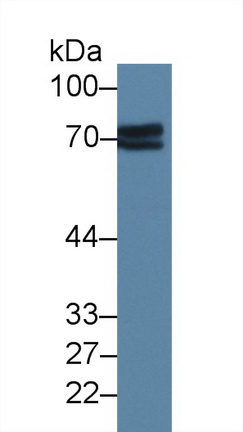 13983