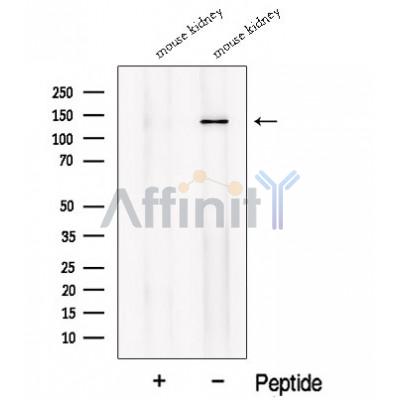 Валидация Affinity DF12671 - 7326