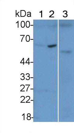 21401