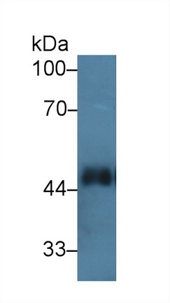 14220
