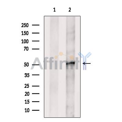 Валидация Affinity DF13305 - 8450