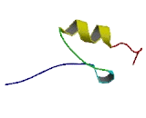 Zinc Finger Protein 396 (ZNF396)