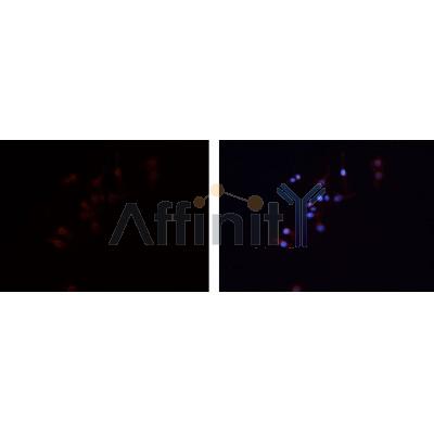 Валидация Affinity DF9562 - 22234