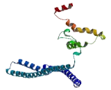 Golgi Protein 73 (GP73)