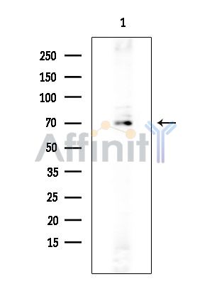 Валидация Affinity DF4692 - 16369
