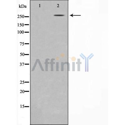 Валидация Affinity DF3249 - 14090