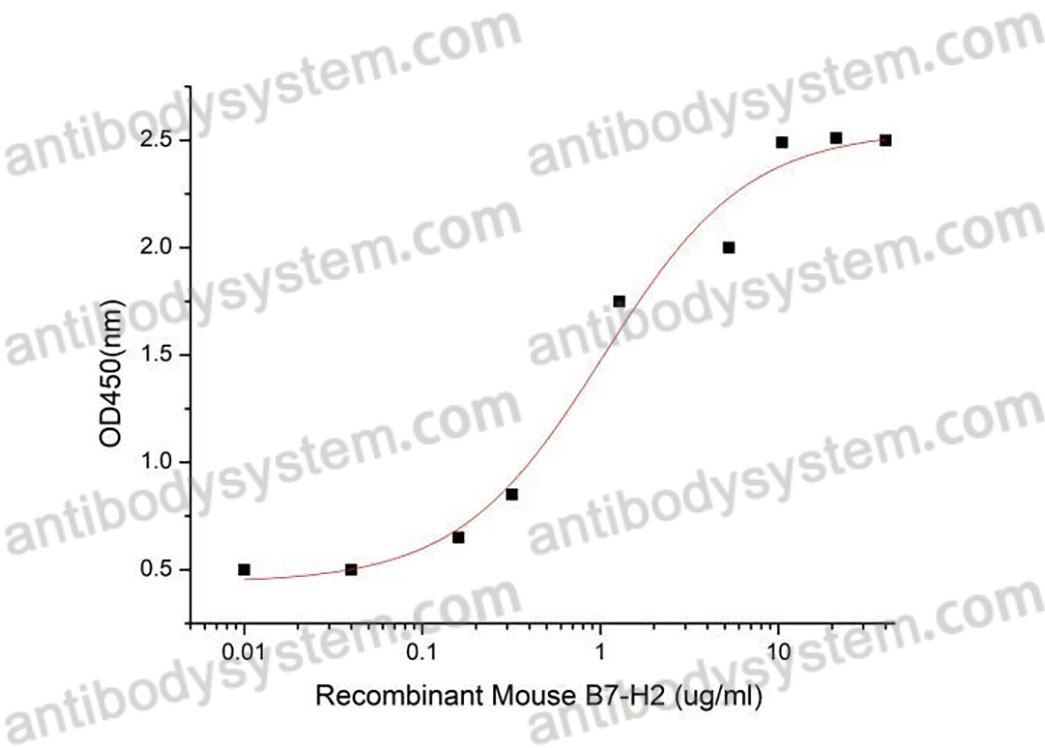 Валидация активности AntibodySystem AMB10201