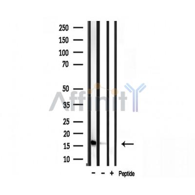 Валидация Affinity DF3709 - 14749