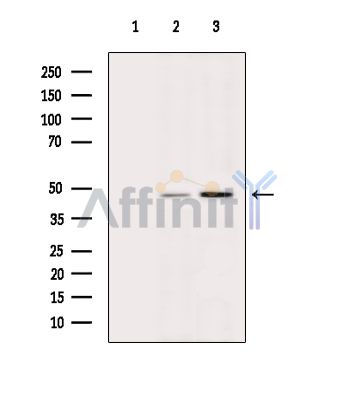 Валидация Affinity DF6973 - 18598