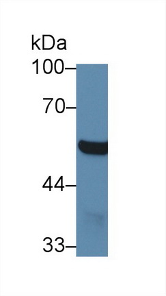 8872