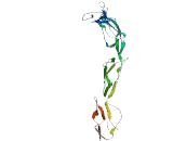 Zinc Finger Protein 490 (ZNF490)