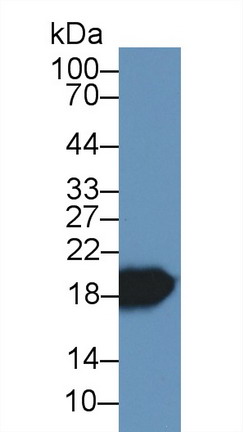 8440