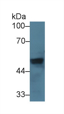 10139