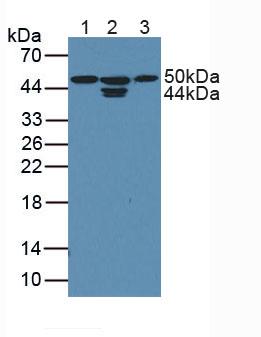 6154