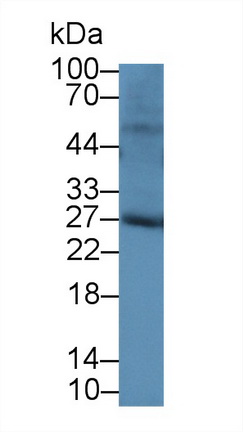 13714