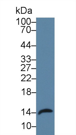 9254