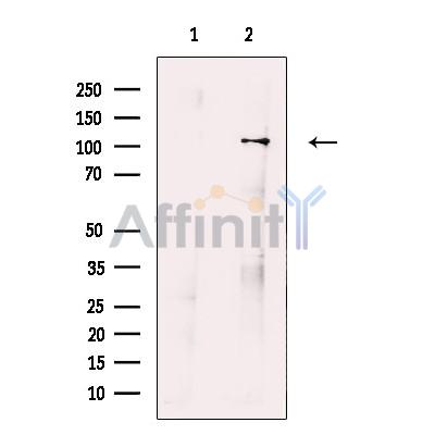 Валидация Affinity DF13714 - 9337