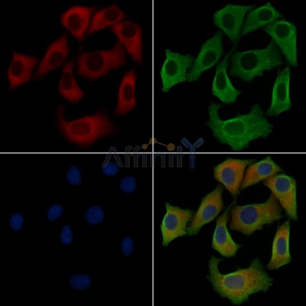 Валидация Affinity DF4387 - 15867