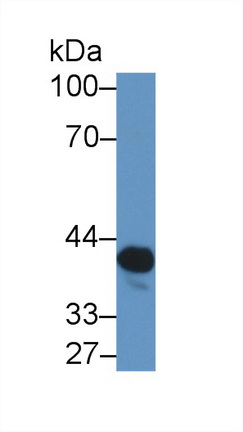 14180
