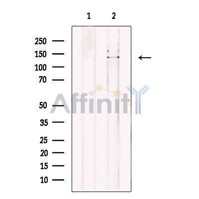Валидация Affinity DF12166 - 6365